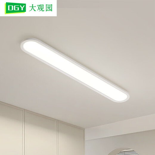 BOE [Official Flagship] Grand View Garden Aisle Light Corridor Light LED Ceiling Light Modern Simple Nordic OCC 40W 3892-Walnut Color 100cm-Three