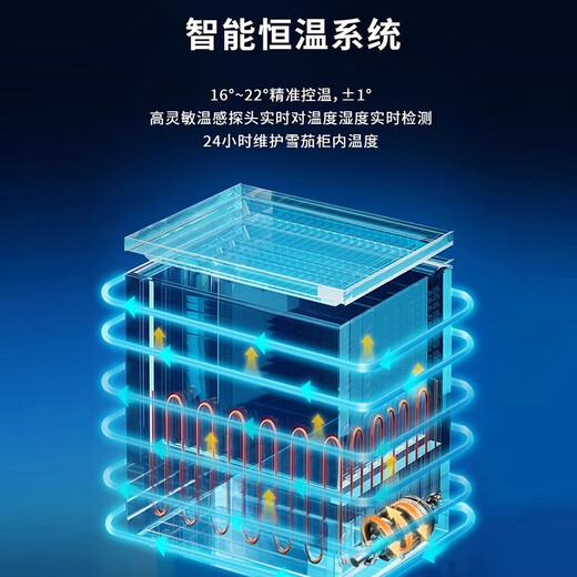 Double store Dannemann cigar cabinet compressor constant temperature and humidity cedar wood WIFI ammonia removal mini humidification cabinet compressor air-cooled constant temperature and humidity 70L