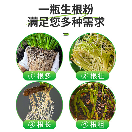 Correction Hualeduo powerful rooting powder plant rapid rooting liquid cutting tree transplanting strong seedlings water-soluble fertilizer flower rooting agent 500g