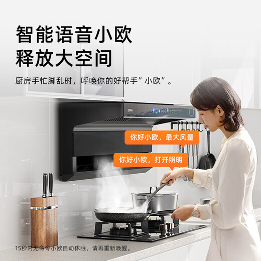 欧派（OPPEIN）油烟机顶侧双吸抽油烟机语音控制烟灶套装吸油烟机家用超薄大吸力大风量7字型一级能效 【单烟机】22m³-语音控制KB701