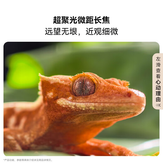 HUAWEI Pura 80 Pro 一英寸主摄 个性色卡 AI 辅助构图 华为鸿蒙智能手机 釉白 12GB+512GB
