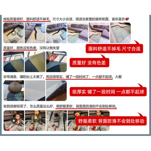 萝大搬（LUODABAN）地毯客厅2025新款免洗可擦沙发地垫卧室感家用轻奢防水茶几毯 简约1195号 80cm*120cm (防水防污)