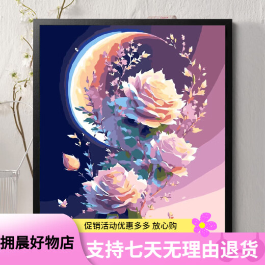 林谷家落日玫瑰数字油画diy花卉填色涂鸦手工手绘diy油彩画卧室装饰画 A H1048 30*40实木内框+丙烯颜料+画笔