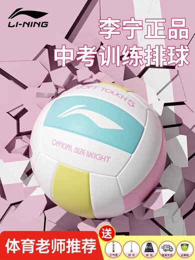 甜苗苗排球2025中考专用排球初中生小学生体育考试训练比赛学生 5号 球机缝款VC表皮733蓝白色基础