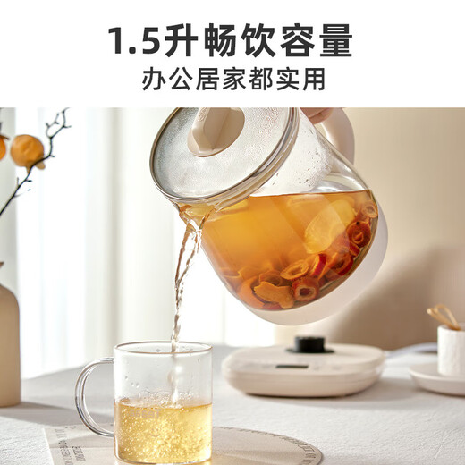 SUDISQR Subo Health Pot Tea Kettle Constant Temperature Kettle Insulated Commercial Water Boiling Integrated Electric Kettle Flower Teapot 316L Stainless Steel 1.5L Large Capacity YSH-J1 1.5L Upgraded Model with Filter 1.5L