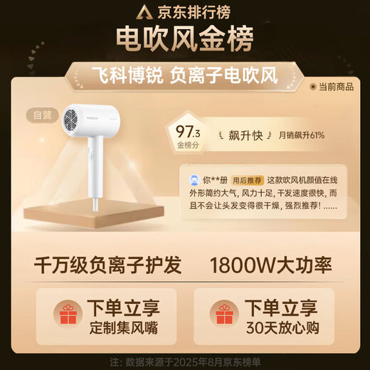 FLYCO Bo Rui hair dryer household negative ion high power does not damage hair Portable ladies hair dryer student dormitory birthday gift National subsidy PH1629