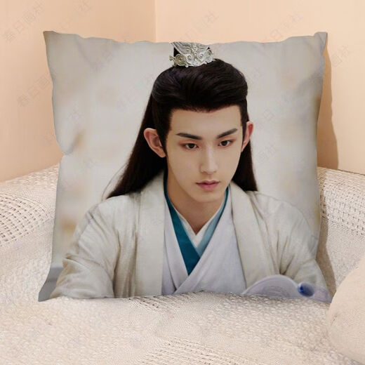 Chengliu guo junchen oreiller fleur rong yanyue même style périphérique en peluche coussin canapé de tête de tête