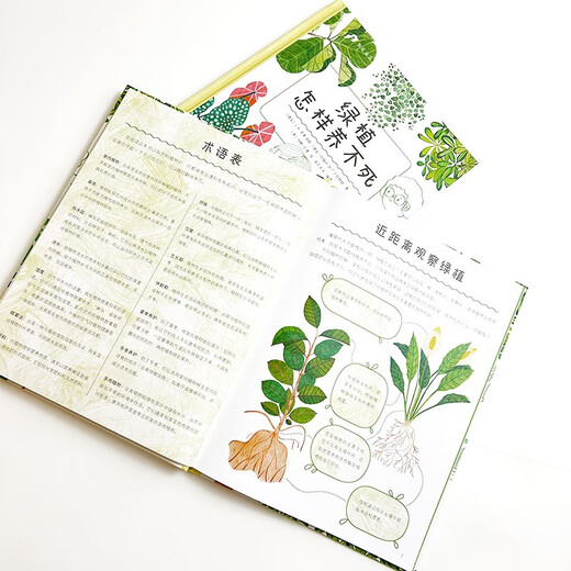 How to keep green plants alive