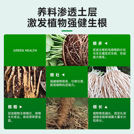 Guoguang Root Promoting Rapid Rooting Liquid Powder Seedlings Flower Cuttings Transplanting Indocynaphthyl Acetic Acid Guoguang Genpan 200ml*1 Bottle