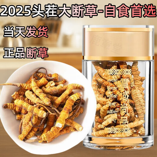 Véritable cordyceps cordyceps sinensis grande herbe brisée haute altitude brisée cordyceps 2025 Premier chaume nouveau auto-usure grande cordyceps cassé naqu high altitude cassée cordyceps 10g pack