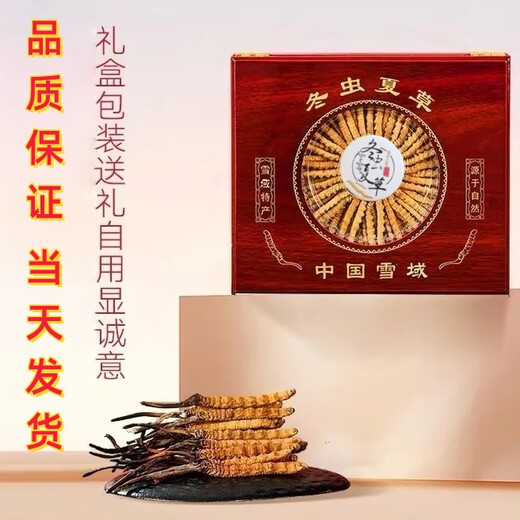 鹿章堂冬虫夏草礼盒装正宗藏区雪山虫草送礼佳品品质保证当天发货 西藏那曲精品虫草3条1克50条