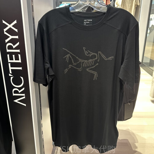 Archaeoptera Bird (Arc'teryx) Arcteryx Archaeoptera Bird Men's Ionia Merino Wool T-shirt rétro Green-Tatsu / Canvas X679 XS - Agent d'achat et de diffusion