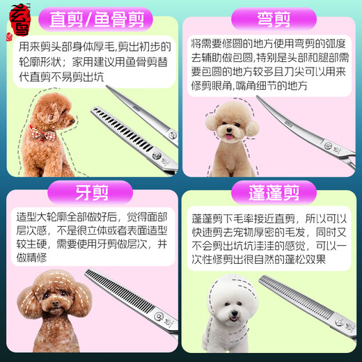 Xuanniao professional pet grooming scissors set, fluffy scissors, fish bone scissors, Schnauzer Maltese special set, for golden retrievers, local finishing, 6.5 curves + 6.5 teeth, around the mouth, etc.