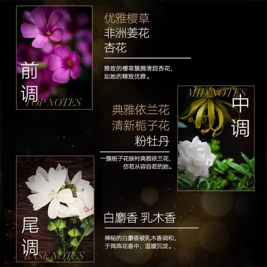 AVON Little Black Dress Full Body Lasting Fragrance Body Lotion Shower Gel Roll-on Perfume Antiperspirant Body Lotion Hand Cream Women's Set 1 Bottle Little Black Dress Body Lotion 400g