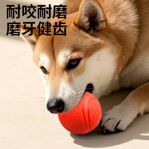 Zanpet dog toy ball, bite-resistant and molar-resistant elastic ball, Teddy self-pleasure and boredom relief, solid rubber ball for pet training