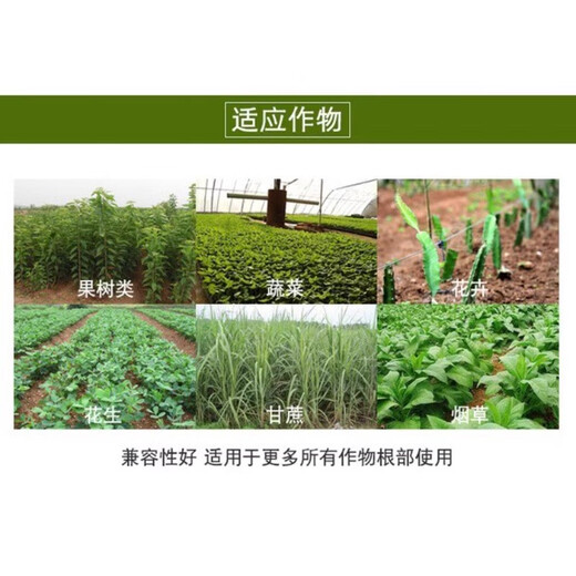 30% mefenac + 6% kasugamycin fungicide, special medicine for dead seedlings, root rot and blight, soil sterilization 30% methacrylate 500g + 6% kasugamycin 500g*1 set