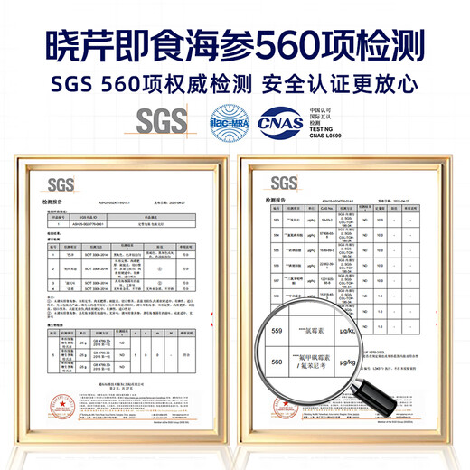 晓芹大连即食海参500g 15-20只 辽刺参 固形物不低于75% 海鲜水产