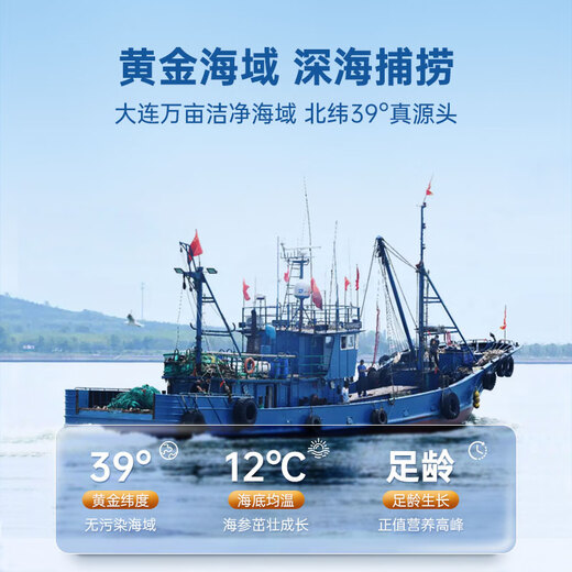 Fresh Jingcai Jingdong Fresh Private Brand Dalian Ready-to-Eat Sea Cucumber 1Jin Jin is equal to 0.5kg, 8-10 pieces, solid content exceeds 75%