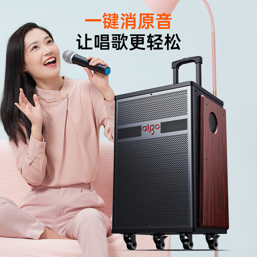 Patriot S615 outdoor square dance audio 15-inch high-power amplifier mobile portable home trolley Bluetooth speaker street stall speaker dual microphone version