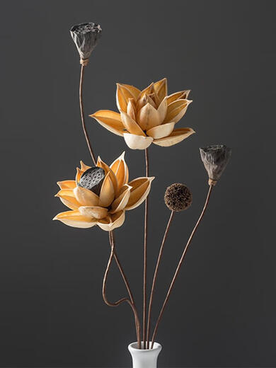 Wasabi luftgetrocknete Blütenschmuck Bouquet Lotus Pods Trockene Äste Blumenarrangement Natures Zen Tea Room Wohnzimmer Dekoration gefälschte Blumendekoration getrocknete Blume Kombination 5009 getrockneter Blütenbeutel