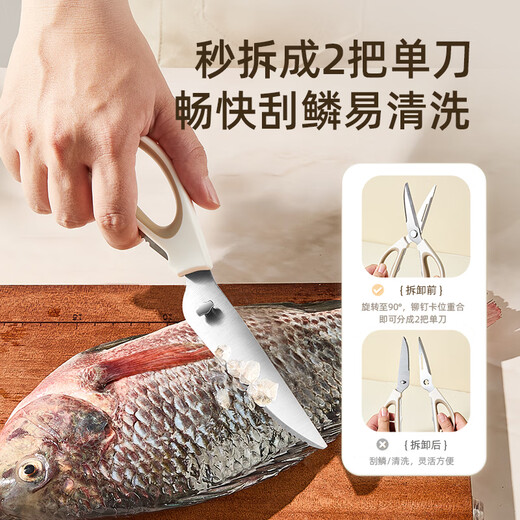 Ciseaux de cuisine ours en acier inoxydable, ciseaux puissants multifonctionnels pour la maison, os de poulet, aliments BBQ, CX-JE042