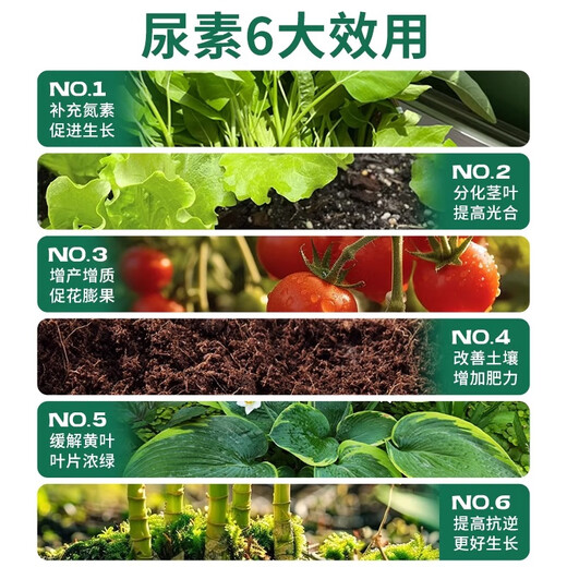 Urea Fertilizer Nitrogen Fertilizer for Vegetables Flower Chemical Fertilizer Compound Fertilizer Vegetable Agricultural Planting General Flower Cultivation Urea 5Jin Jin is equal to 0.5 kg Total Nitrogen 46%