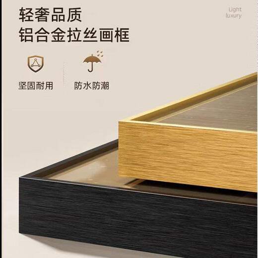 丞仔轻奢led灯入户玄关装饰画走廊过道挂画壁画装饰画客厅高级大气 Z6231 120*240(建议1.5米以上的墙面) 晶瓷铝合金金框【插电+遥控】