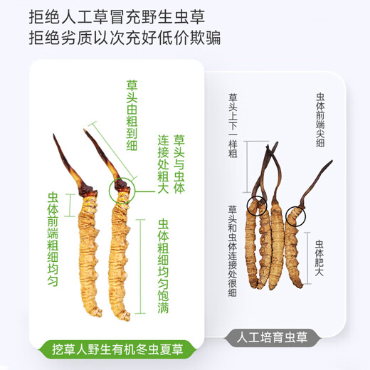 挖草人【真】 野生冬虫夏草 西藏野生虫草中老年人养生滋补品礼盒礼品 (1克三根)  野生虫草30根礼盒装