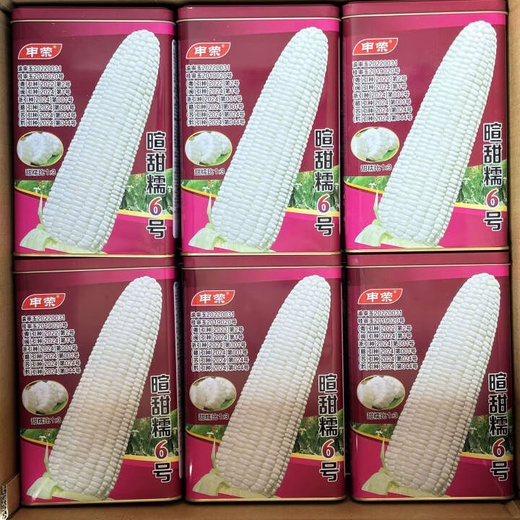 National-approved corn seed sweet waxy corn seed hybrid corn white corn national-approved corn seed Xuantiannuo No. 6 corn seed 500g