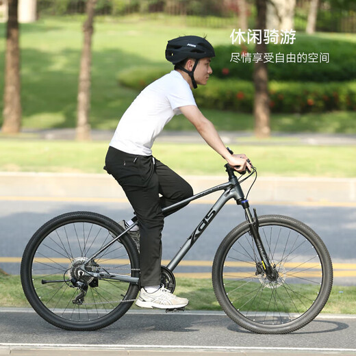 喜德盛（xds）山地自行车黑客700铝合金车架2025款24速油压碟刹成人单车 灰/黑17