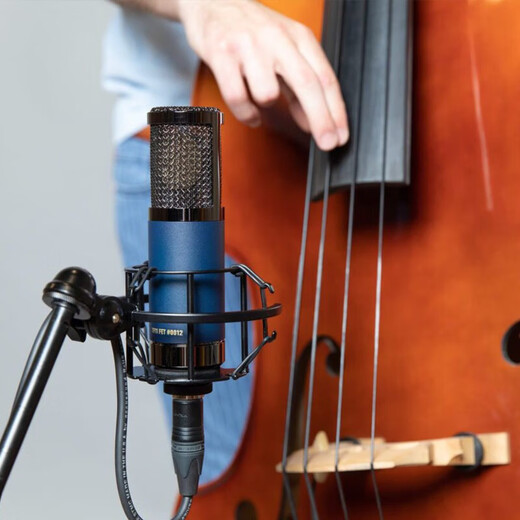 Telefunken TF11 large diaphragm cardioid condenser microphone live recording microphone imported microphone professional performance singing wired microphone anchor live singing equipment Telefunken TF11+baby face+candy face