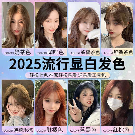 Bubble Color Hair Dye Cream, plant-based popular color whitening hair dye, black for men and women, purely covering gray hair, fashionable hair dyeing at home, flaxen color/no makeup, versatile (fashion color)