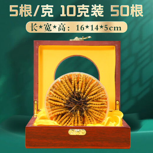 Tibetan Authentic Tibetan High-altitude Cordyceps Gift Box tonic for the first stage of the Cordyceps gift for elders and parents [Economic and self-use] 5 sticks/g-10 grams-50 sticks [Special discount]