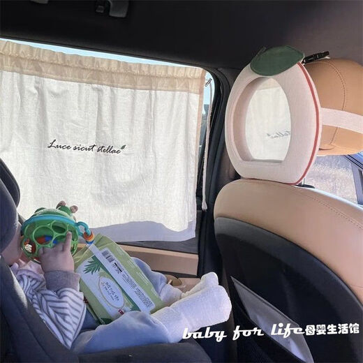 INSEREAN CAR BABY BABY SAGINE SEAGHT SHATE APPL