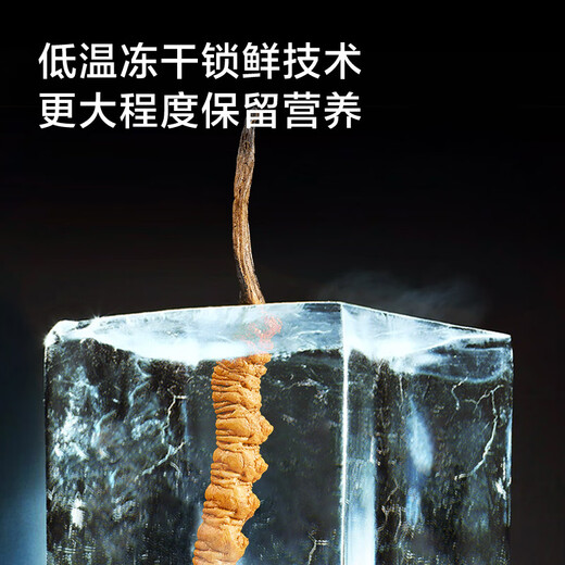 京东京造 冬虫夏草10克断虫草特大号断草虫草实惠装 老年人营养品送礼