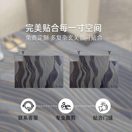 Ling Yuxun Floor Mat Entry Door Mat 2025 New Light Luxury High-end Entry Door Foot Mat Anti-slip Dirt-resistant Non-washing Entrance Carpet Elegant-15869 60cm*90cm [Upgraded 9th Generation Dirty Falman 1