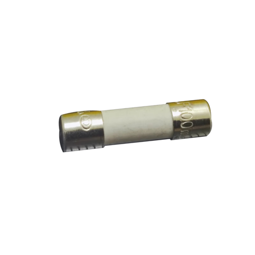 Litfuse fuse 0216.100MXP/5*20/100mA
