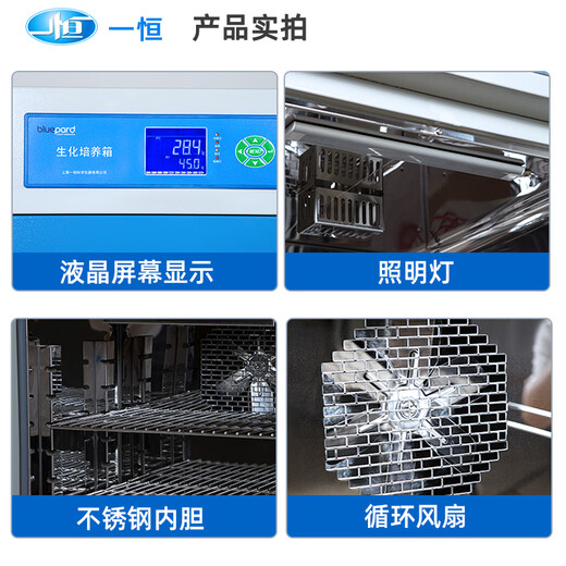 Shanghai Biochemical Incubator Bacterial Mold Test Kit Artificial Climate Light Constant Temperature Constant Humidity Test Kit Electric Thermal Constant Temperature Incubator DHP-9272