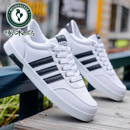 Spechtschuhe koreanische Stil Teen Casual Sneakers Leder Trendy Herrenschuhe Herbst Studentin weiße Top -Leinwandschuhe Männer 3881 Weiße Lederflächen wasserdicht 38