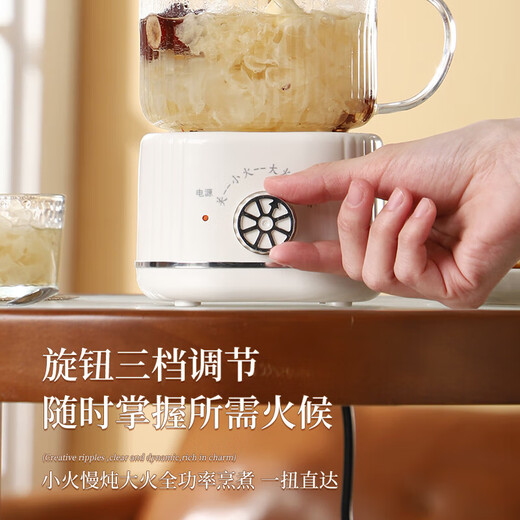 Health kettle, kettle, hot water kettle, thermostatic kettle, teapot, teapot, all-in-one, fully-glass, fully-automatic, small household, multifunctional office, large capacity, random color 0.6L