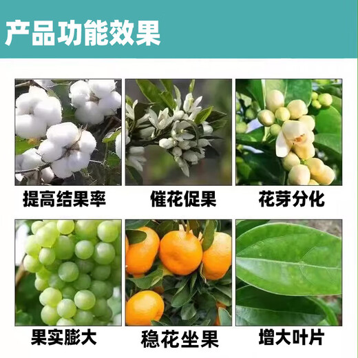 Jinbaikang Shanghai Shibachang Tongrui Sanliu 920 Gibberellin Gibberellic acid protects against fruit drop 920 plant growth regulator 100ml