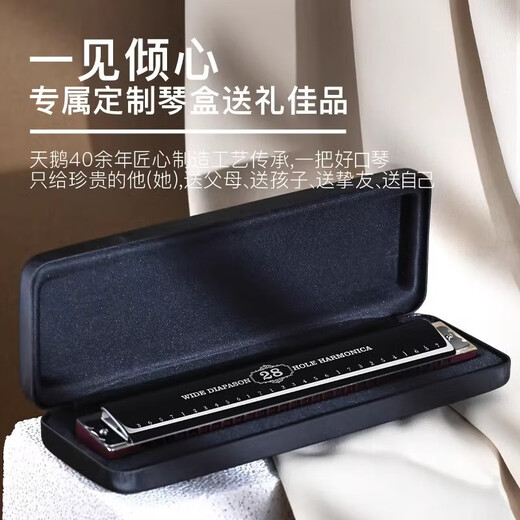 天鹅德国进口音簧珍藏版复音口琴28孔高端送礼入门专业演奏级 【高端款】28孔复音D调+伴奏U盘