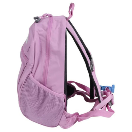 North Face Functional trend recycled nylon schoolbag backpack backpack regular women's smoke grape color smoke grape color