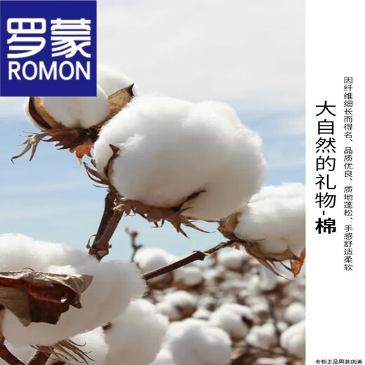 ROMON high-end brand 100% pure cotton middle-aged and elderly dad autumn jacket men's lapel jacket spring and autumn tops AL-K2121 khaki M 17060Jin [Jin equals 0.5 kg] to 90Jin [Jin equals 0.5 kg]