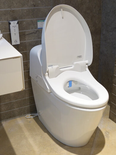 TOTO SMART Toilet CES9433 / 9575/9788/9878/9898/9614 Toilet Hot Instant Intest Instant 300mm 300 mm