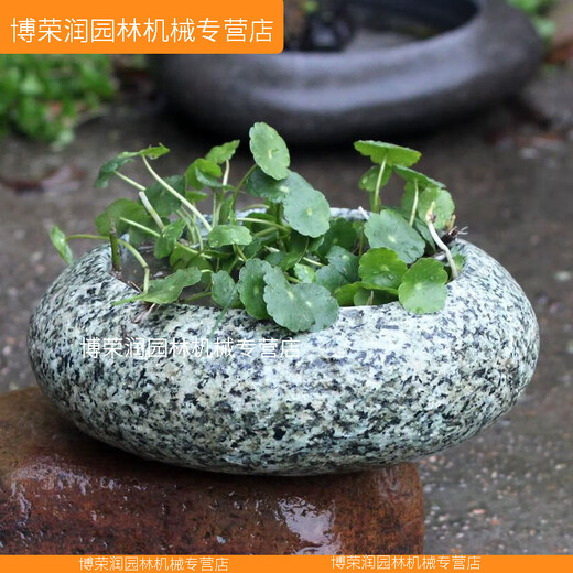 XMSJ优质原花盆花器盆景盆菖蒲铜钱草专用盆文竹盆栽水仙盆石器 升级No.9435