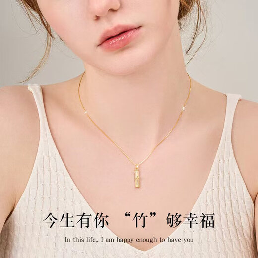 GUSKI French brand light luxury necklace women's bamboo Hetian jade jewelry pendant anniversary birthday high-end gift for girlfriend You Bamboo Enough Necklace + Brand Gift Box Same Day/Next Day Delivery