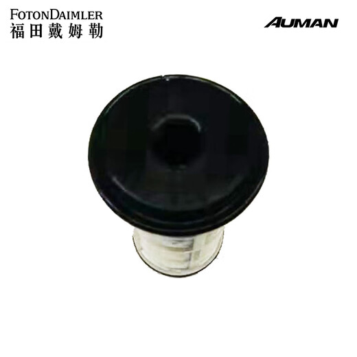 Litian foton Daimler Oman Accessoires Gtletxest-A Harnstoffpumpe Set SA063F679E7408