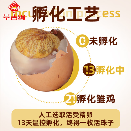 Xinjiyuan live beads egg embryo spicy hairy egg 13 days fresh tempered egg five-spice fresh ready-to-eat live beads 40 five-flavor Xinjiyuan live beads egg embryo spicy hairy egg 13 days fresh tempered egg five-spice fresh ready-to-eat live beads 40 five-flavor