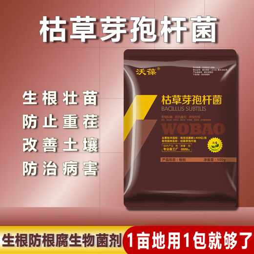 Wobao Bacillus subtilis anti-root rot soil-borne disease microbial agent highly active water-soluble fertilizer microbial agent Bacillus subtilis 200g*1 bag